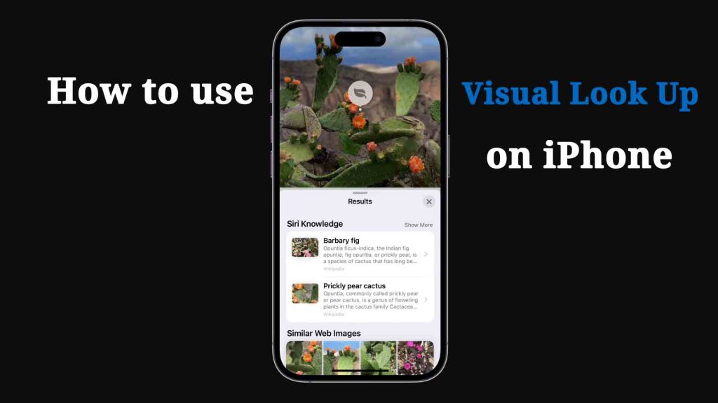 How to use Visual Look Up on an iPhone